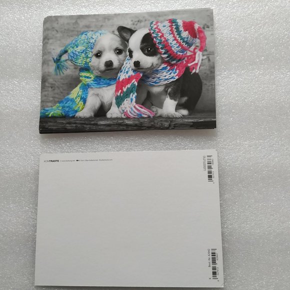 🎄🐶8 Dogs Puppy Thank you cards/Christmas Greeting cards - Picture 4 of 5